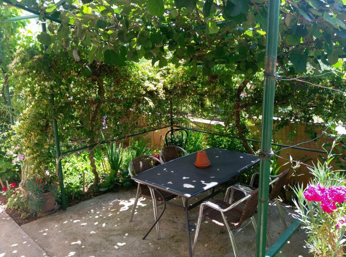 Vila Milla بريمونتيرا المظهر الخارجي الصورة