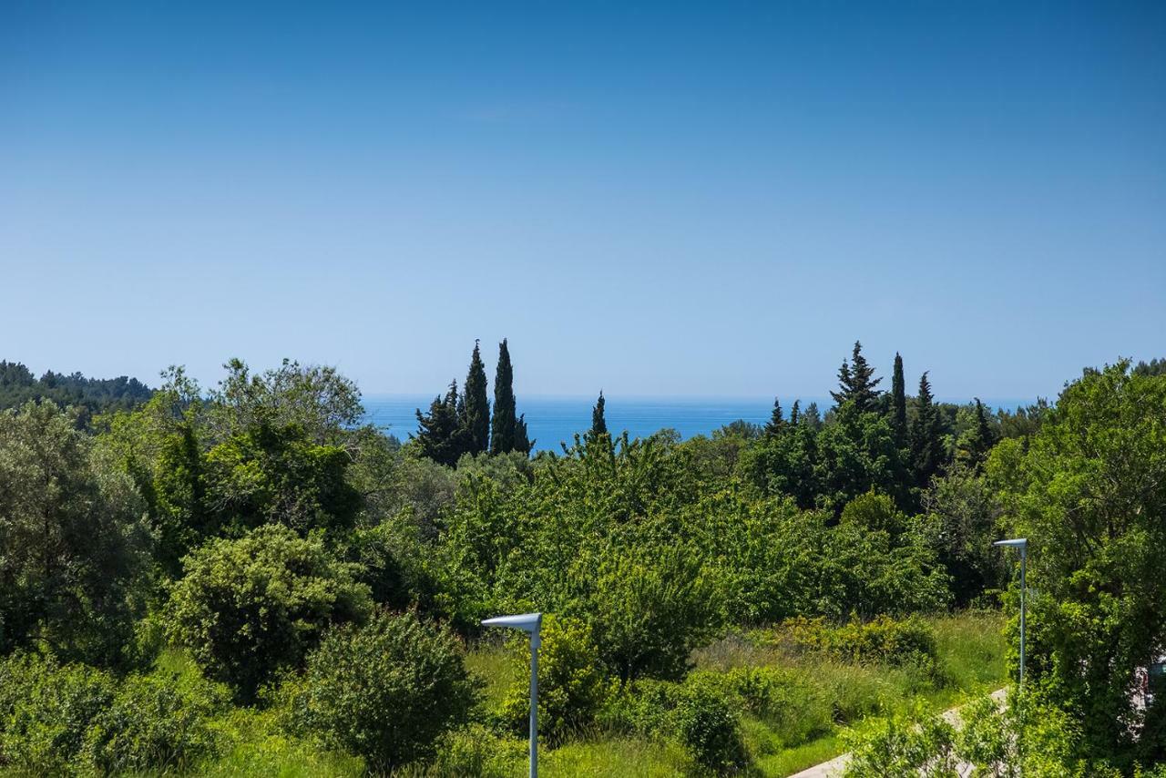 Vila Milla بريمونتيرا المظهر الخارجي الصورة